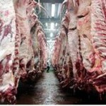 CARNE