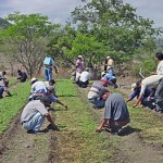 agronomos-trabajando-2009-05-06-13109 agronomos-trabajando-2009-05-06-13109